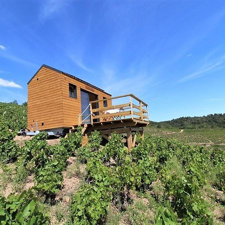 Отель Tiny House Au Coeur Du Vignoble Beaujolais Флёри Экстерьер фото