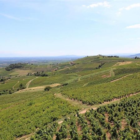 Отель Tiny House Au Coeur Du Vignoble Beaujolais Флёри Экстерьер фото