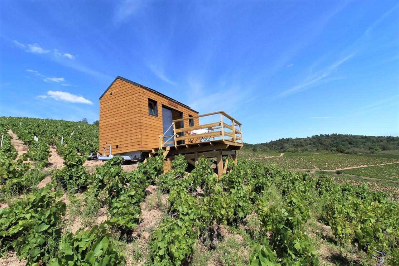 Отель Tiny House Au Coeur Du Vignoble Beaujolais Флёри Экстерьер фото