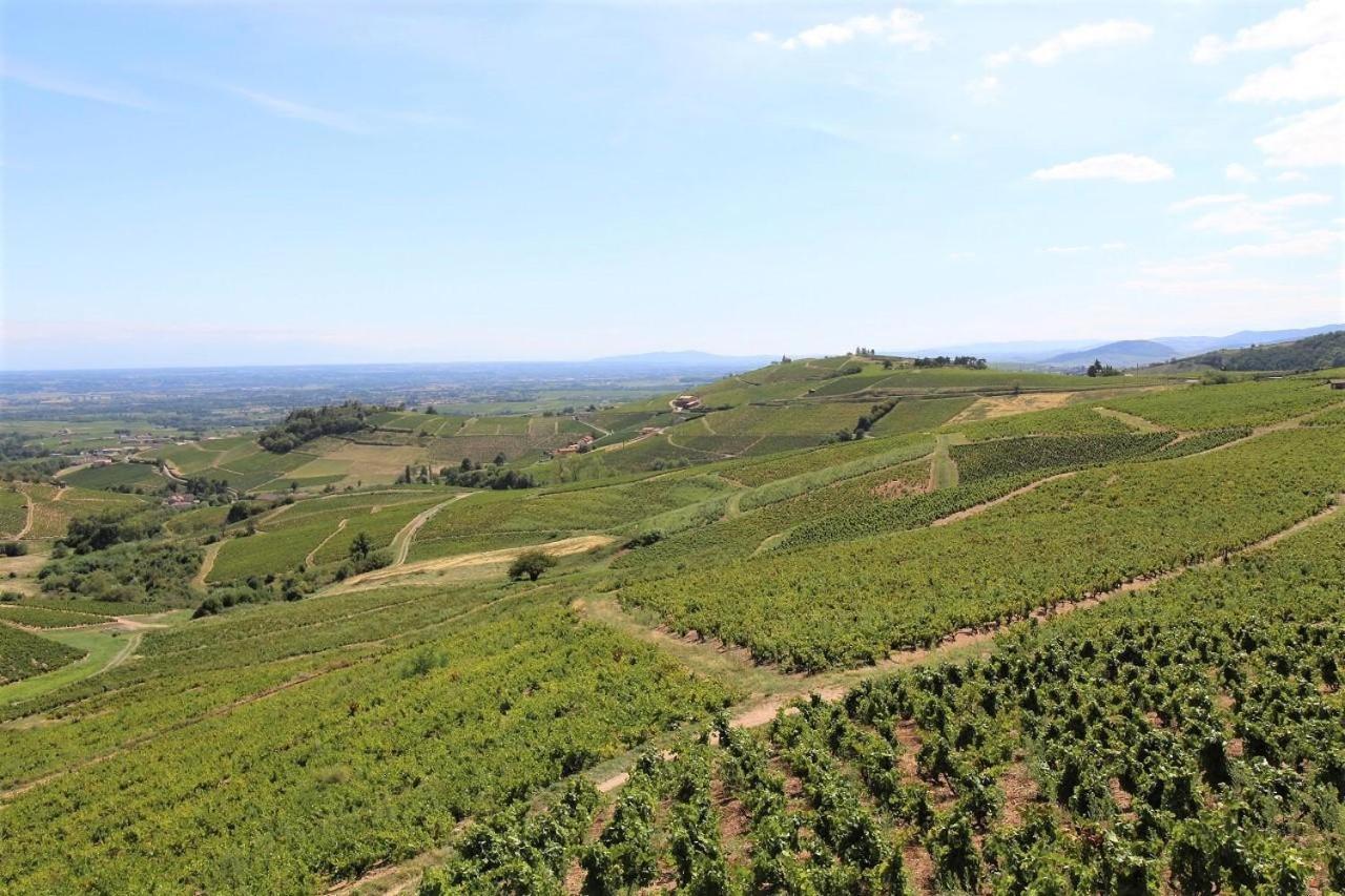 Отель Tiny House Au Coeur Du Vignoble Beaujolais Флёри Экстерьер фото